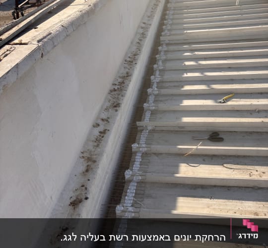גג עם התקנת רשת למניעת יונים
